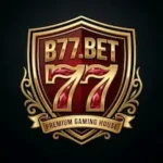 B77 game
