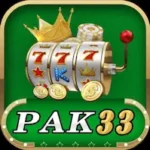 pak33 Game