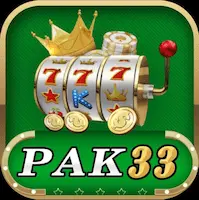 pak33 Game icon